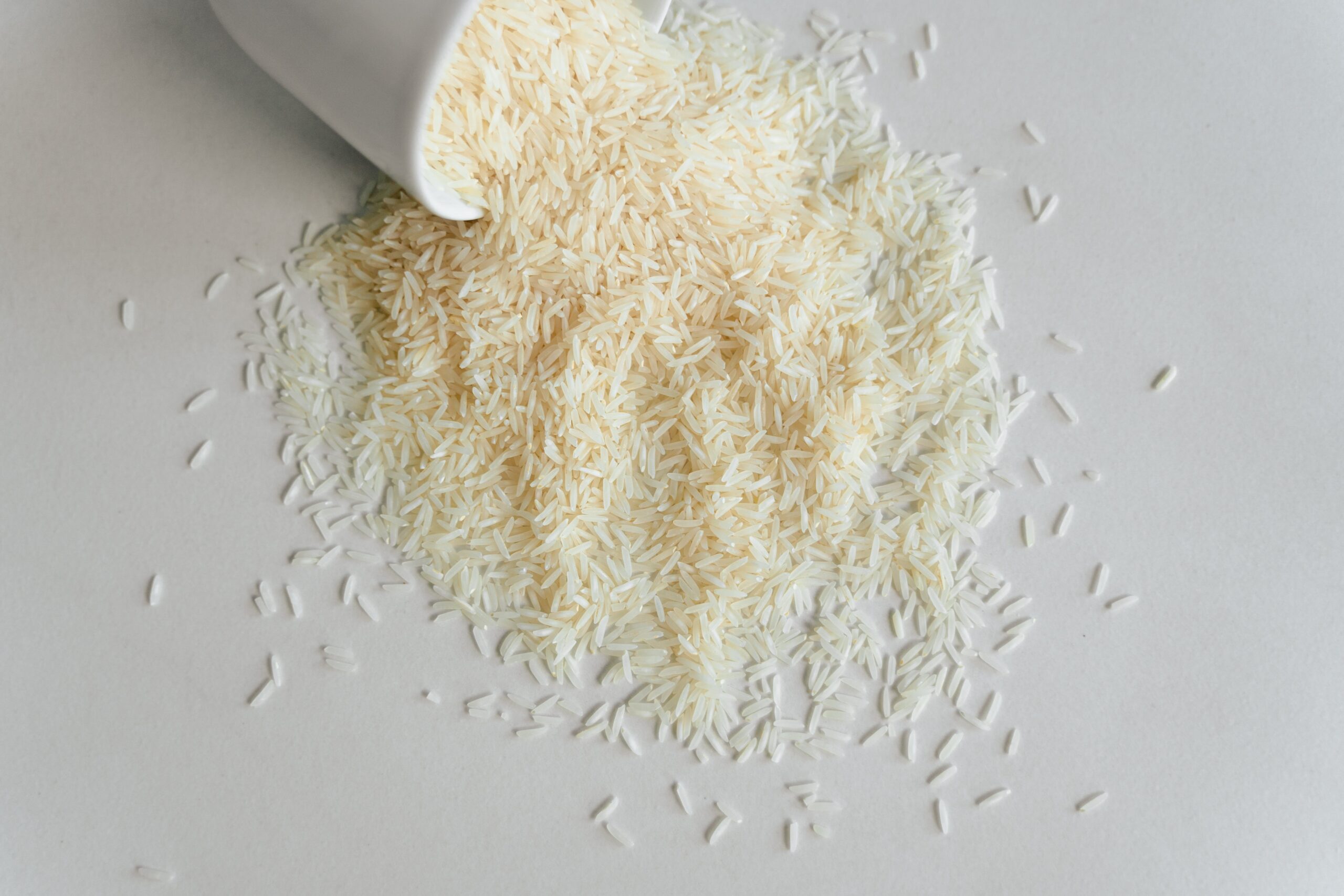 Illustration of rice